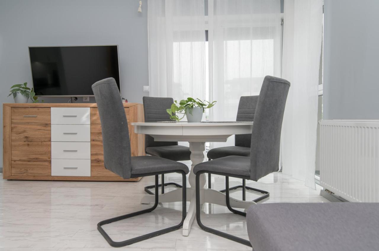 גליביצ'ה Apartament Biegusa מראה חיצוני תמונה